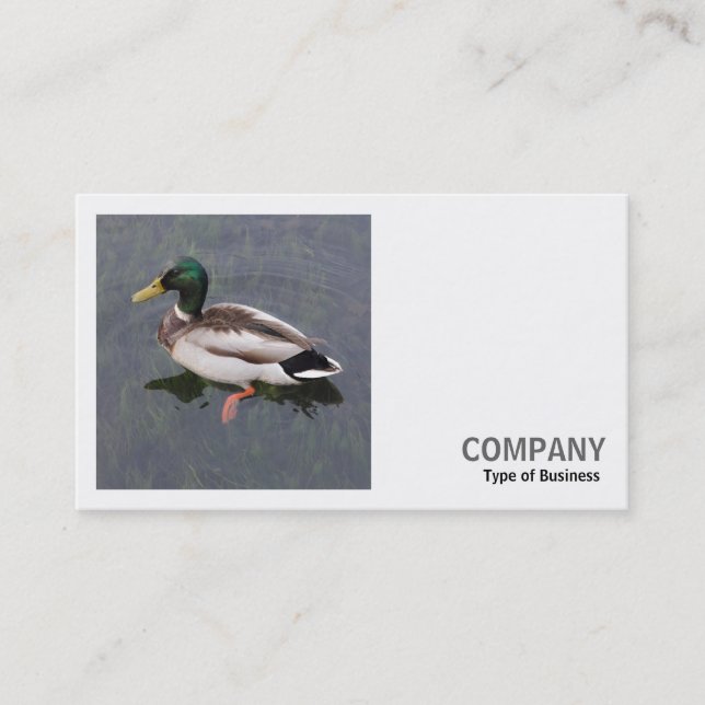 Square Photo (v3) - Mallard Duck Business Card (Front)