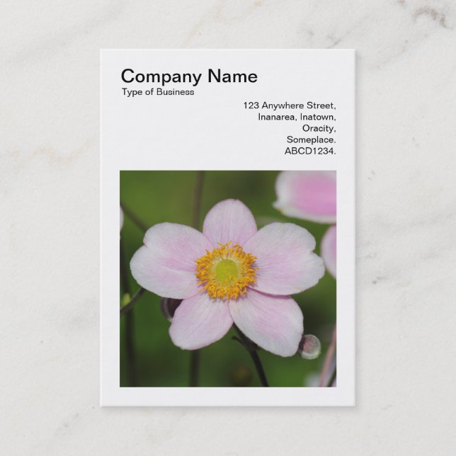 Square Photo (v3) - Pink Anemone Business Card (Front)