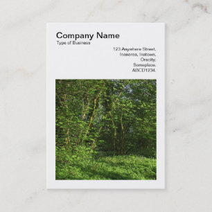 Square Photo (v3) - Spring in the Woods Business Card
