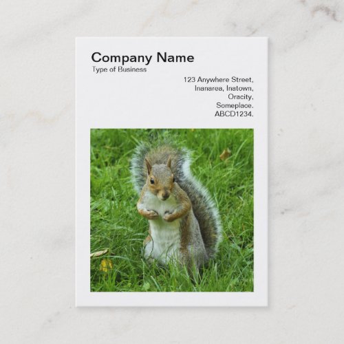 Square Photo v3 _ Startled Grey Squirrel Business Card