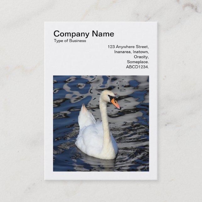 Square Photo (v3) - Swan Business Card (Front)