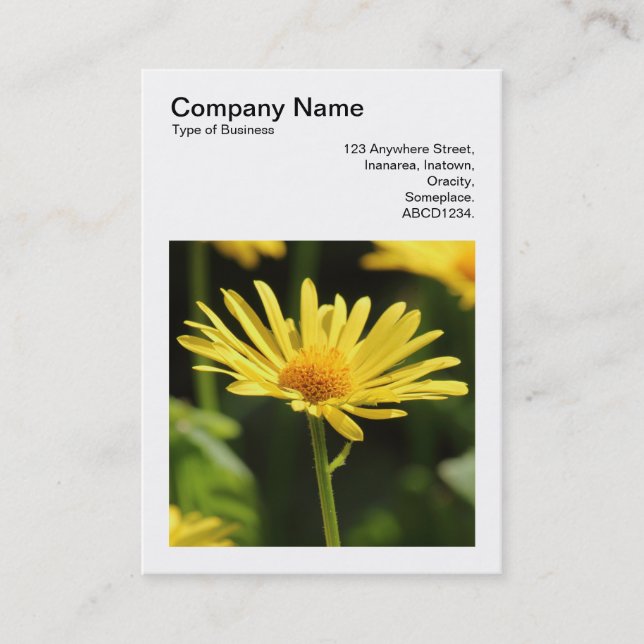 Square Photo (v3) - Yellow daisy Business Card (Front)