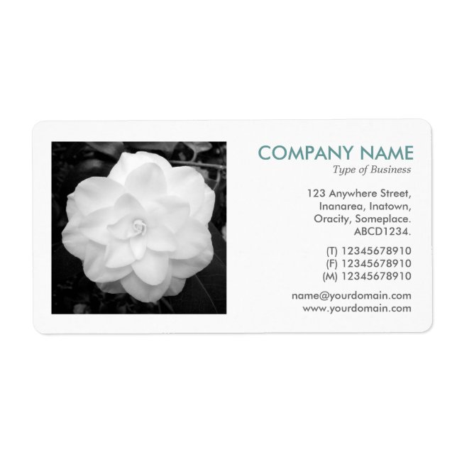 Square Photo - White Camelia Label (Front)