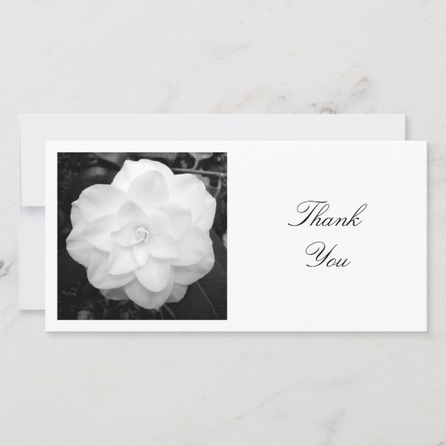 Square Photo - White Camellia Thank You Card (Front)