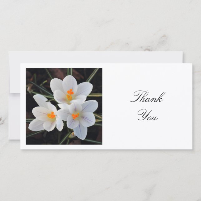 Square Photo - White Crocuses Thank You Card (Front)