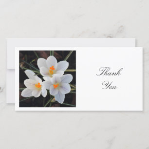 Square Photo - White Crocuses Thank You Card
