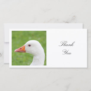 Square Photo - White Goose Thank You Card
