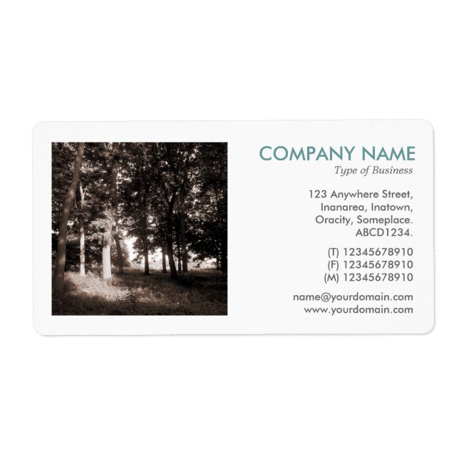 Square Photo - Woods in the Park Label (Front)