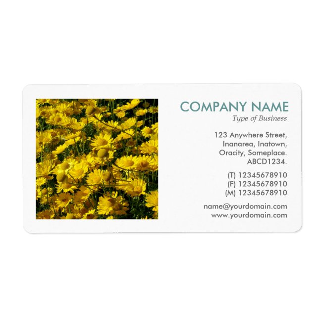 Square Photo - Yellow Daisies Label (Front)