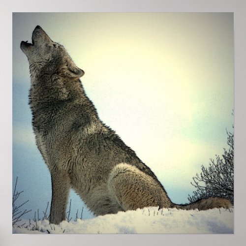 Square Posters _ Howling Wolf Poster Print