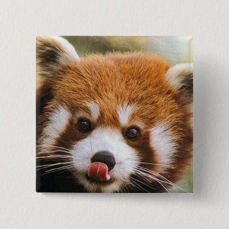 Square Red Panda Button