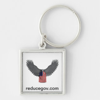 square reducegov keychain
