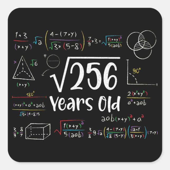 Square Root of 256 16th Birthday 16 Year Old Gifts Square Sticker (Front)