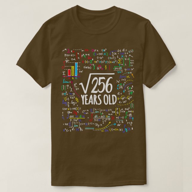 Square Root Of 256 16th Birthday 16 Years Old Math T-Shirt (Design Front)