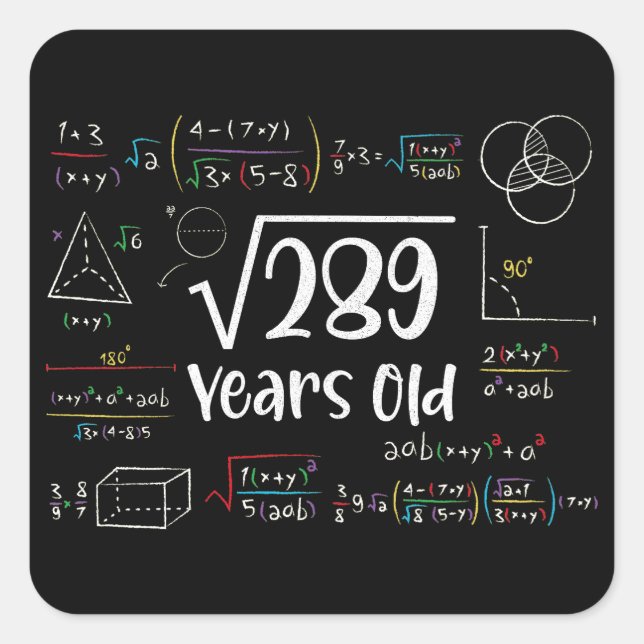 Square Root of 289 17th Birthday 17 Year Old Gifts Sticker (Front)