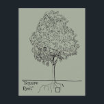 Square Root Postcard<br><div class="desc">See! I learnt sometin in skool.</div>