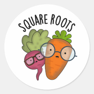 Square Roots Funny Math Pun Classic Round Sticker
