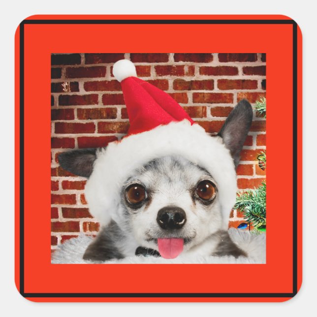 SQUARE STICKER CHIHUAHUA IN Santa hat (Front)
