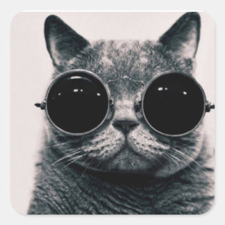 Square sticker - Glasses cat