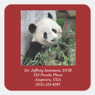 Square Stickers, Giant Pandas, Veterinarian Sticker