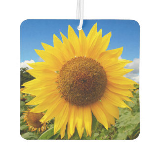Square Sunflower Air Freshener