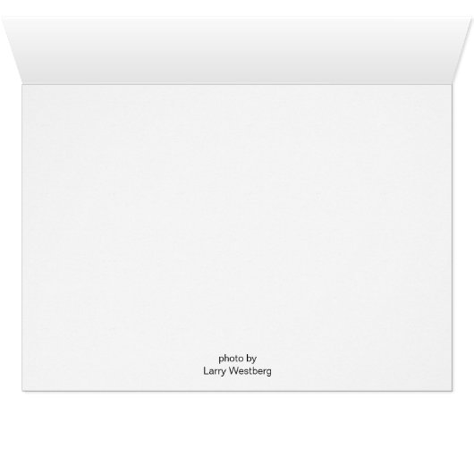 Square Tower House Ruins Mesa Verde (Inside Horizontal (Bottom))