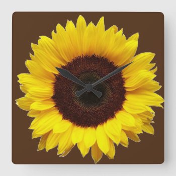 Square Wall Clock/sunflower Square Wall Clock by NatureTales at Zazzle