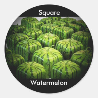 Square Watermelon Classic Round Sticker