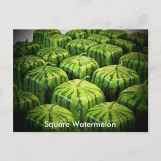 Square Watermelon postcard