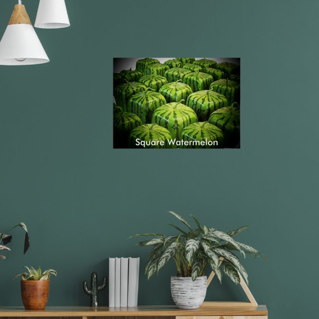 Square Watermelon Print (Living Room 1)