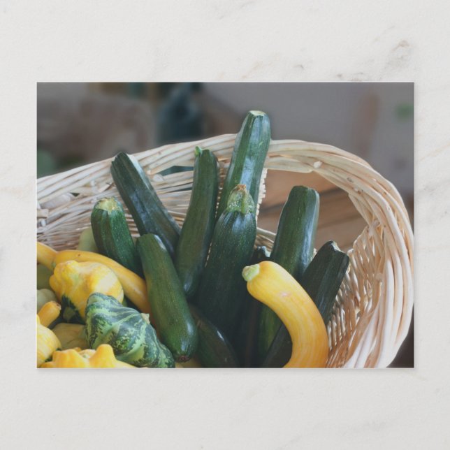 Squash And Zucchini Nature Postcard (Front)