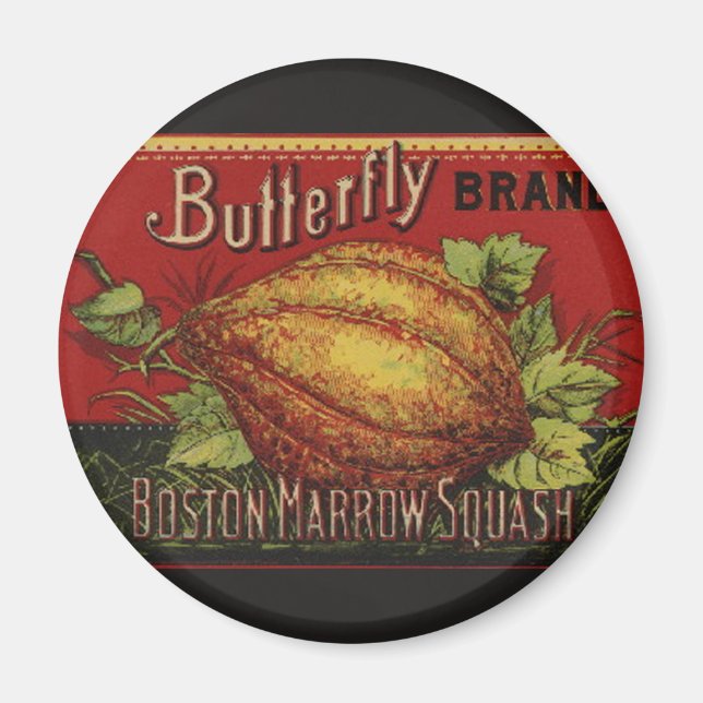 Squash Antique Vegetable Label Can Magnet (Front)