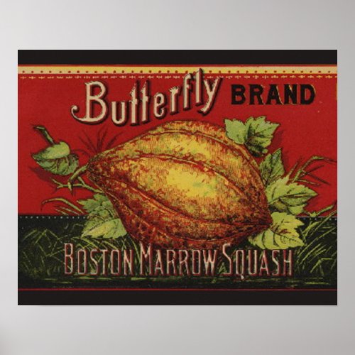 Squash Antique Vegetable Label Can Poster
