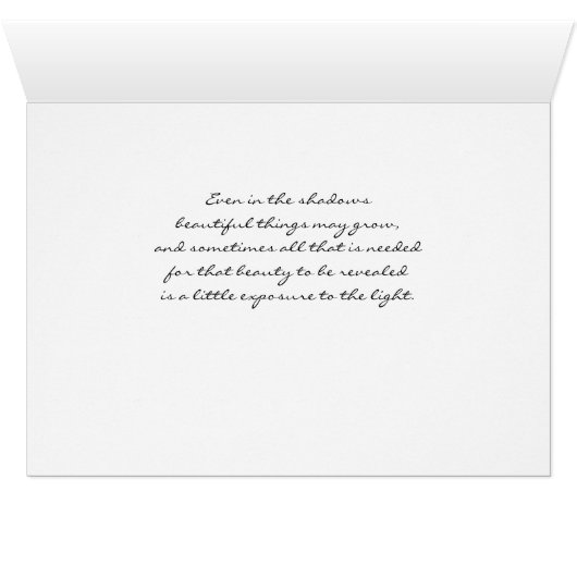 Squash Blossom (Inside Horizontal (Bottom))