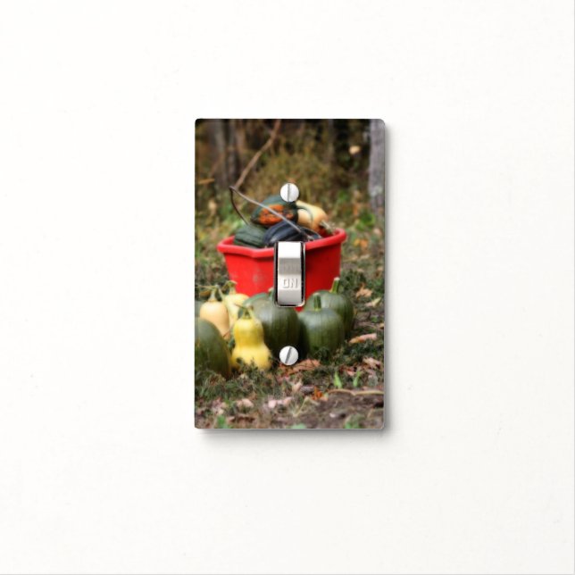 Squash Country Garden Harvest Orton Effect Light Switch Cover (In Situ)