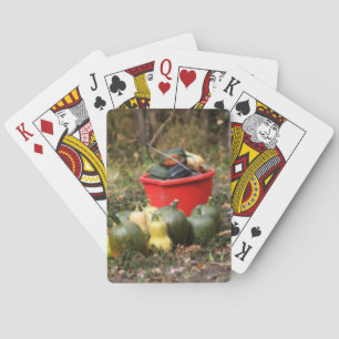 Squash Country Garden Harvest Orton Poker Cards