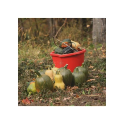 Squash Country Garden Harvest Orton   Wood Wall Art