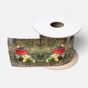 Squash Country Garden Harvest Satin Ribbon