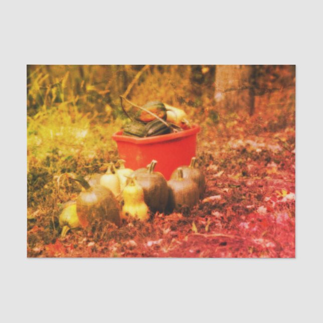 Squash Country Garden Harvest Vintage Decoupage Tissue Paper (Front)