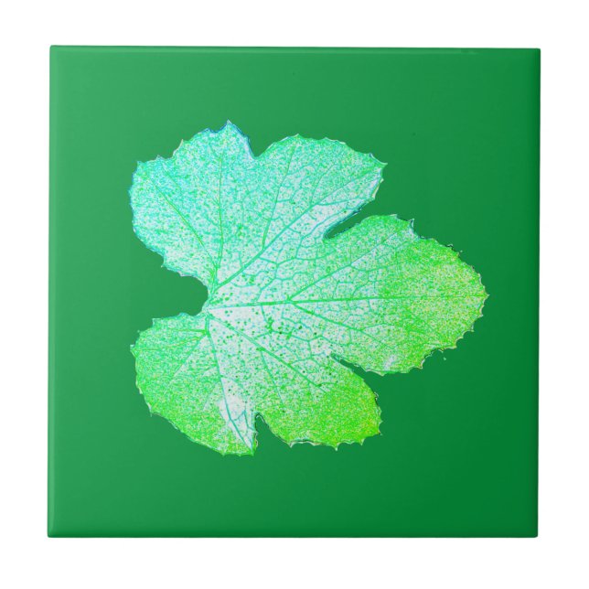 Squash Green Leaf Texture Sketch Ceramic Tile (Front)