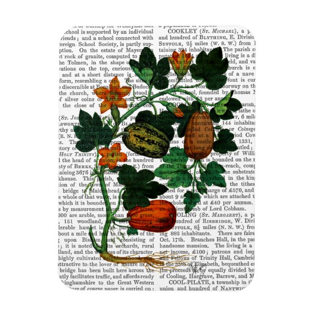Squash Vine 1 Magnet (Vertical)