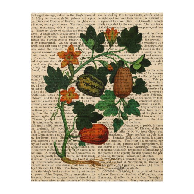Squash Vine 1 Wood Wall Decor (Front)