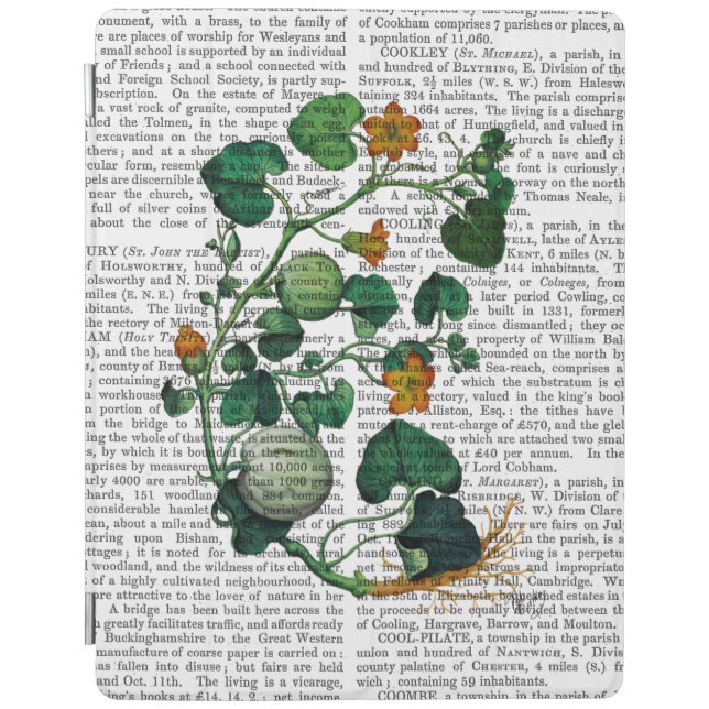 Squash Vine 2 iPad Air Cover (Front)