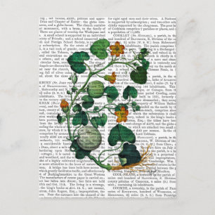 Squash Vine 2 Postcard