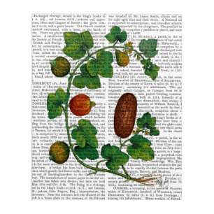 Squash Vine 3 Acrylic Print