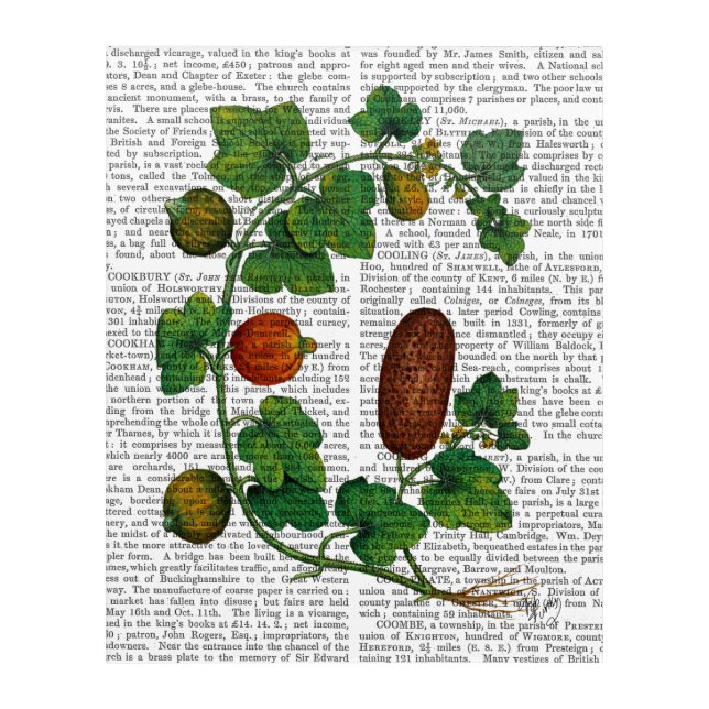 Squash Vine 3 Acrylic Print (Front)