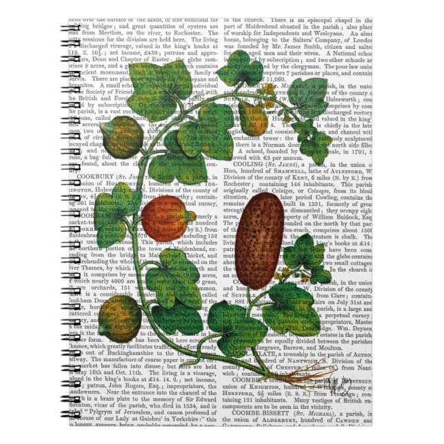 Squash Vine 3 Notebook (Front)