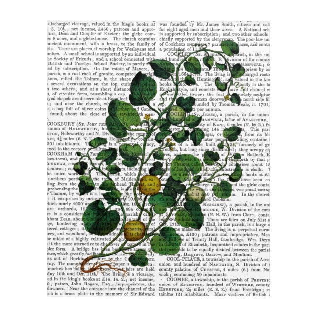 Squash Vine 4 Acrylic Print (Front)
