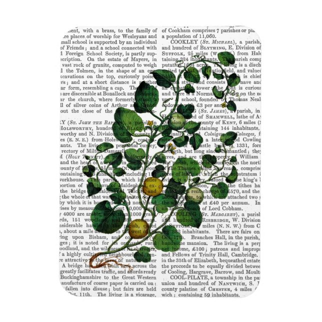 Squash Vine 4 Magnet (Vertical)