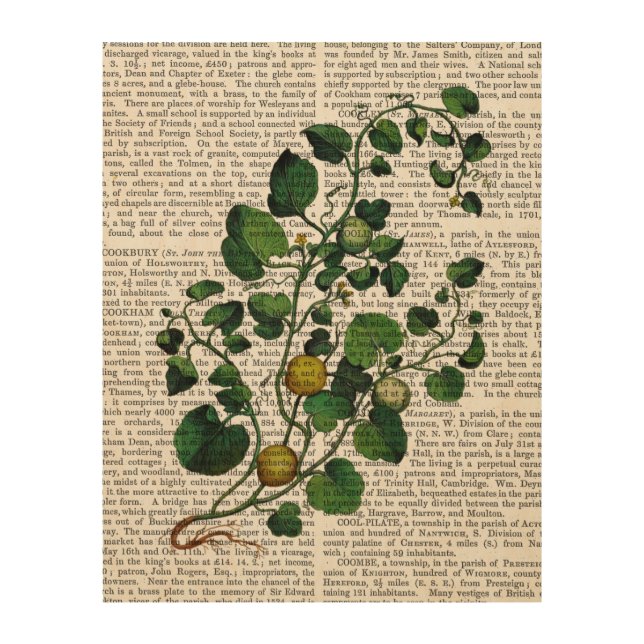 Squash Vine 4 Wood Wall Decor (Front)